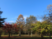 10月下旬ごろの紅葉