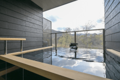 エグゼクティブツイン Executive twin（客室露天風呂付き）