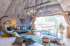 【🐾ペット同伴可能】スタンダードドッグランドーム