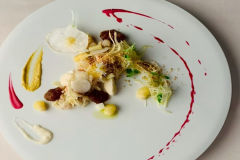 「野菜の美食」──シェフ唐渡が贈る 淡路島スペシャルディナーコース〈ペアリングドリンク付き〉