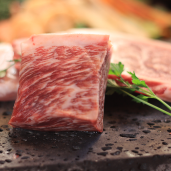 【1泊2食付BBQプラン】甲州牛・富士桜ポークのBBQ！サウナ＆ジャグジー付きコテージに贅沢ステイ