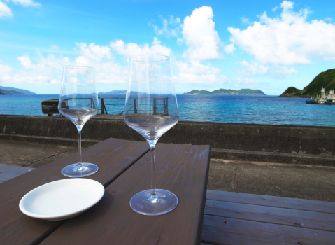 【伝泊 海みる屋根の宿】屋根の上の広縁に寝そべって至福のひと時をお過ごしください。
