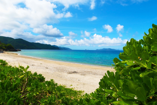 【伝泊 海みる屋根の宿】透きとおる海が島を囲み、そのブルーのグラデーションの美しさに時を忘れてしまいます。