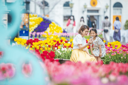 カラフルな色のチューリップに囲まれて、思い出に残る特別な一枚を。（※昨年の様子）