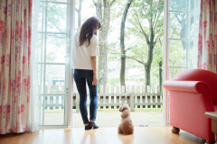 【客室一例】大切なペットと滞在できる特別なドッグヴィラ。