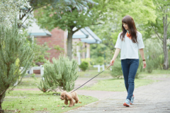 ハウステンボスを愛犬と一緒にお楽しみください。