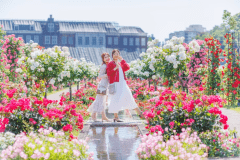 見渡す限りのバラの絶景に包まれて思い出の一枚を。（※昨年の様子）