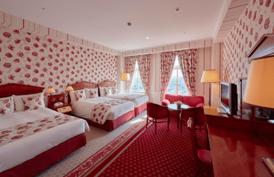 [禁烟]豪华设计师三人间（海边）