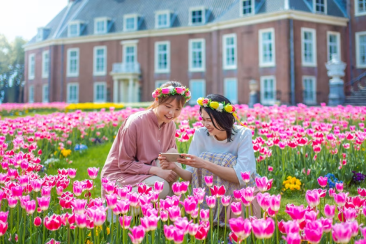 お気に入りのチューリップを思い出の一枚に。（※昨年の様子）