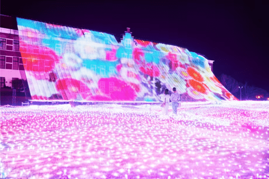 光のオーロラガーデンを背景にヨーロッパの街並みが光で包まれます。（※昨年の様子）