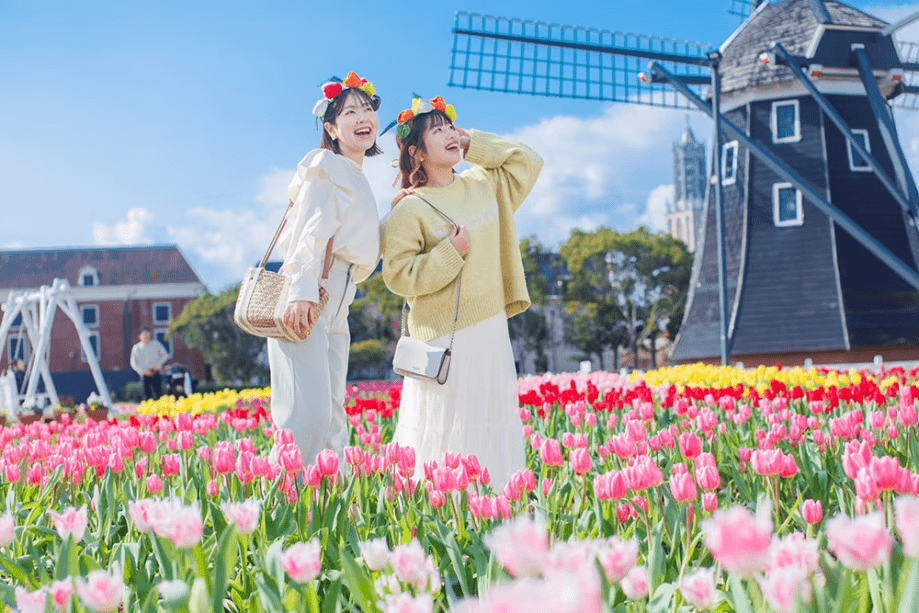 キュートなチューリップが美しい街並みを春色に染め、笑顔まで満開になるような絶景に出会える春旅。