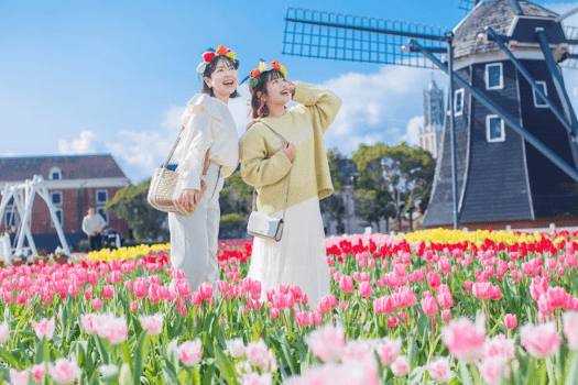 キュートなチューリップが美しい街並みを春色に染め、笑顔まで満開になるような絶景に出会える春旅。