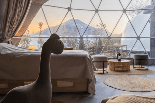 ≪Mt. Fuji View≫169.4㎡・7M dome-shaped tent