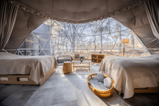 ❀【インスタ限定・第2弾】わんちゃん棟増設キャンペーン❀「最大20％OFF」＆わんちゃん用のお食事・頭数分プレゼント♪～【選べるお食事】