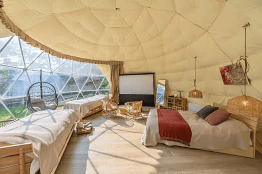 ≪Dog Suite≫291.4㎡・7M dome-shaped tent