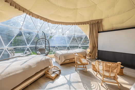 ≪Dog Suite≫291.4㎡・7M dome-shaped tent