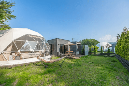 ≪Dog Suite≫291.4㎡・7M dome-shaped tent