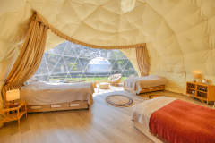 ≪Dog Garden≫208.4㎡・7M dome-shaped tent