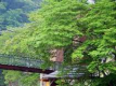 新鮮だからできる！岩魚（いわな）の姿造りをゆっくりお部屋で♪プラン