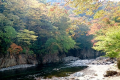 箒川を抱く温泉街は、自然の四季が一層際立つ場所です。四季折々の風景が周辺で存分に楽しめます。