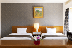 【DXツイン：48平米】上階層で過ごす贅沢なくつろぎ。リビングスペースも備えた快適な空間