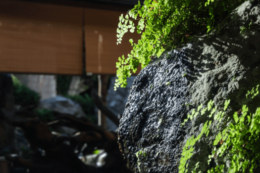HP限定　【温泉&times;足圧karadaケア】　～首・肩・腰の辛さ、不調を改善する45分の施術付（1室2名様分）～