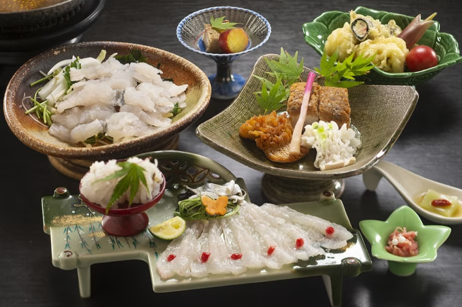 【ハモ鍋コース】期間限定!旬の高級魚「鱧」を使用した絶品料理~雑賀埼産使用~ 【ハモ鍋コース】期間限定!旬の高級魚「鱧」を使用した絶品料理~雑賀埼産使用~