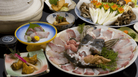 【紀州本クエ尽くしコース】冬の人気NO.1★クエ料理5品含む全8品＜個室食事処＞【事前決済専用】