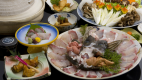 【紀州本クエ尽くしコース】冬の人気NO.1★クエ料理5品含む全8品＜個室食事処＞【事前決済専用】