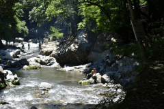 【日帰り夕食付】摂津峡散策と温泉入浴で、まったり8時間30分滞在♪“秋のロングステイ(日帰り)キジ小鍋付会席プラン”