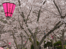【日帰り夕食付】摂津峡散策と温泉入浴で、まったり8時間30分滞在♪&ldquo;春のロングステイ(日帰り)キジ小鍋付会席プラン&rdquo;