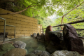"Pheasant hot pot  Deluxe plan (1 night with 2 meals)" where you can enjoy the landlady's secret gibier hot pot and hot springs
