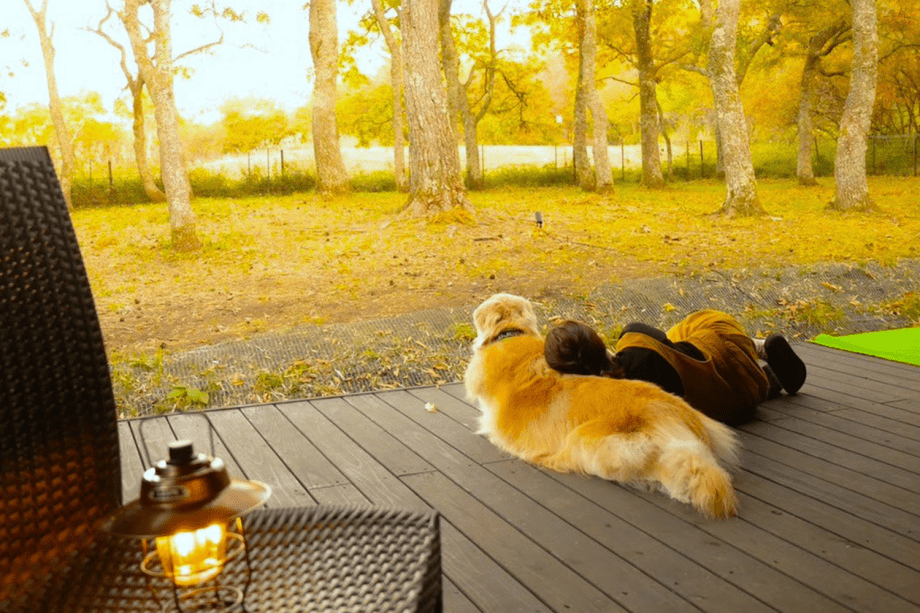 🐾ペット旅行応援🐾初めての愛犬旅行にも安心！一緒に九重の大自然を楽しむ～ドッグフレンドリープラン～【選べるお食事】
