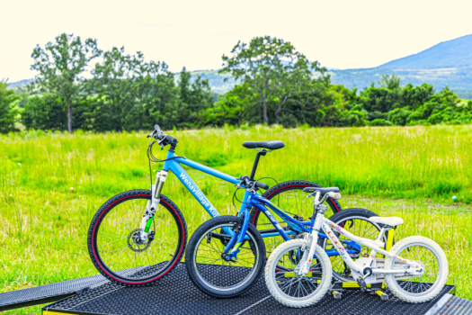 ◆九州県民限定・旅行応援キャンペーン◆大自然の中で過ごす特別な滞在～限定特典付きでオトクに楽しむラグジュアリーステイ♪【自由に選べる食事】