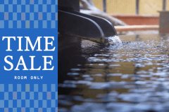 ＜タイムセール＞【素泊】24時チェックイン＆深夜の温泉利用OK！源泉かけ流し『天然モール温泉』