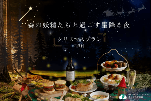 森の妖精たちと過ごす星降る夜🌟クリスマスプラン🎄