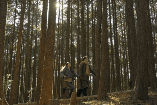 【素泊まり】お持ち込み自由！お食事不要の方はこちら♪