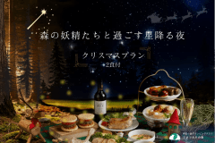森の妖精たちと過ごす星降る夜🌟クリスマスプラン🎄