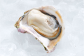 【1泊2食】豪華グランピングを楽しむ食事付きプラン‼