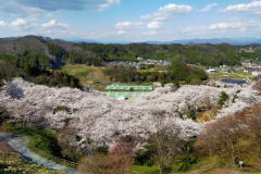 霞ヶ城公園から見た春の風景