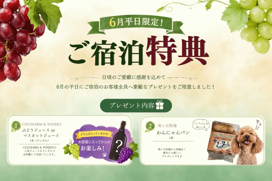 6月平日限定｜ご宿泊者全員にお土産プレゼント！