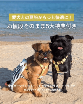 【期間限定|愛犬旅キャンペーン🐶】わんちゃん大歓迎！『お値段そのまま＆うれしい5大特典付き』の愛犬家おもてなしプラン～【選べるお食事】