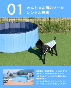 【期間限定|愛犬旅キャンペーン🐶】わんちゃん大歓迎！『お値段そのまま＆うれしい5大特典付き』の愛犬家おもてなしプラン～【選べるお食事】