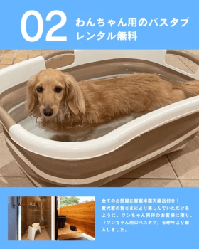 【期間限定|愛犬旅キャンペーン🐶】わんちゃん大歓迎！『お値段そのまま＆うれしい5大特典付き』の愛犬家おもてなしプラン～【選べるお食事】