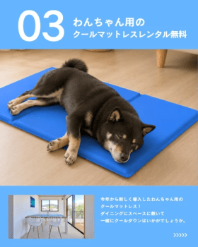 【期間限定|愛犬旅キャンペーン🐶】わんちゃん大歓迎！『お値段そのまま＆うれしい5大特典付き』の愛犬家おもてなしプラン～【選べるお食事】