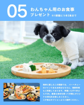【期間限定|愛犬旅キャンペーン🐶】わんちゃん大歓迎！『お値段そのまま＆うれしい5大特典付き』の愛犬家おもてなしプラン～【選べるお食事】