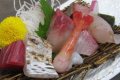 富山湾の鮮魚をぜひご堪能ください。