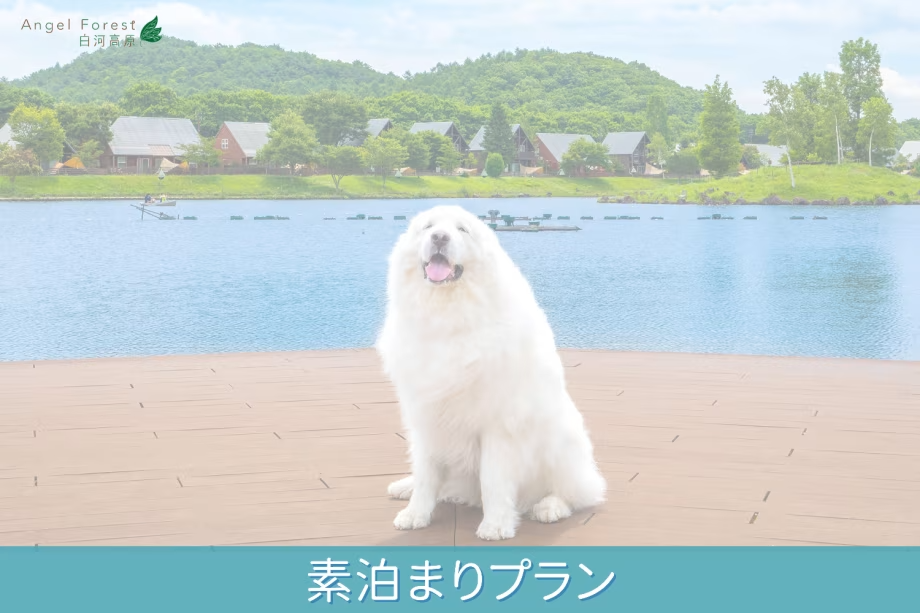 ○使い方いろいろ♪素泊まりプラン♪