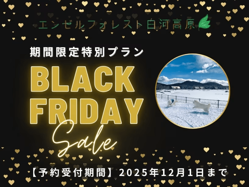 ★2025年ブラックフライデー特別プラン！　バイキング2食付き★