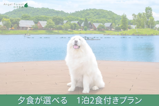 ○　一番人気！　夕食が選べる1泊2食付きプラン